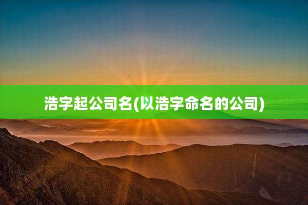 浩字起公司名(以浩字命名的公司)