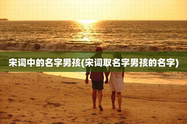 宋词中的名字男孩(宋词取名字男孩的名字)
