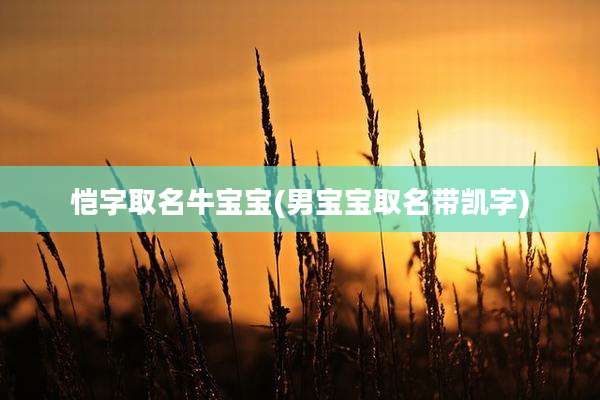 恺字取名牛宝宝(男宝宝取名带凯字)