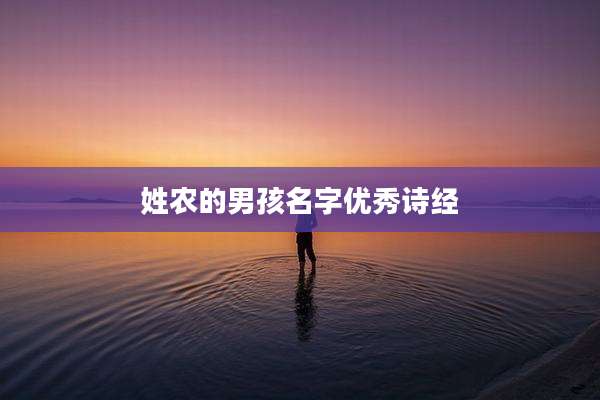 姓农的男孩名字优秀诗经