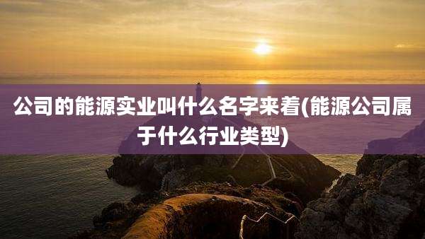 公司的能源实业叫什么名字来着(能源公司属于什么行业类型)