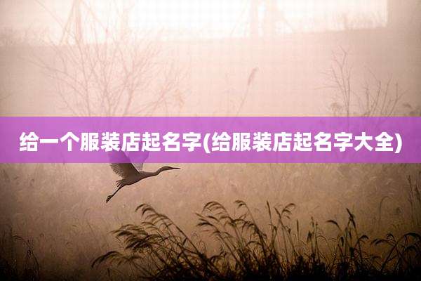 给一个服装店起名字(给服装店起名字大全)