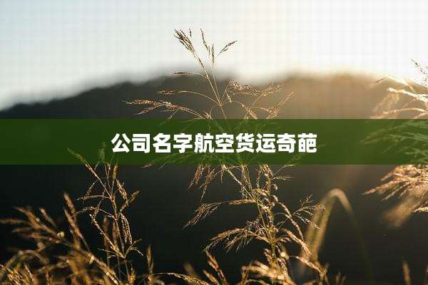 公司名字航空货运奇葩