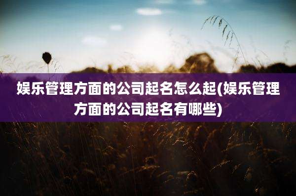 娱乐管理方面的公司起名怎么起(娱乐管理方面的公司起名有哪些)