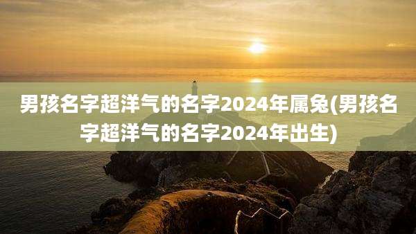 男孩名字超洋气的名字2024年属兔(男孩名字超洋气的名字2024年出生)