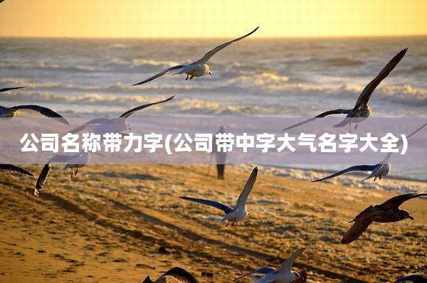 公司名称带力字(公司带中字大气名字大全)