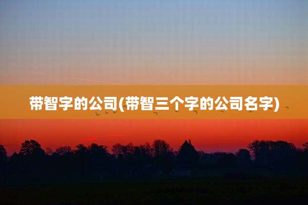 带智字的公司(带智三个字的公司名字)