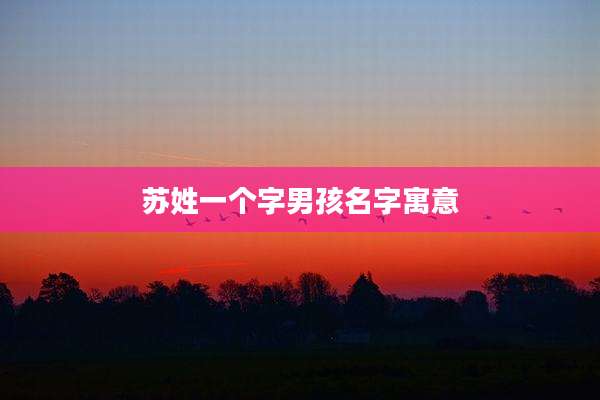 苏姓一个字男孩名字寓意