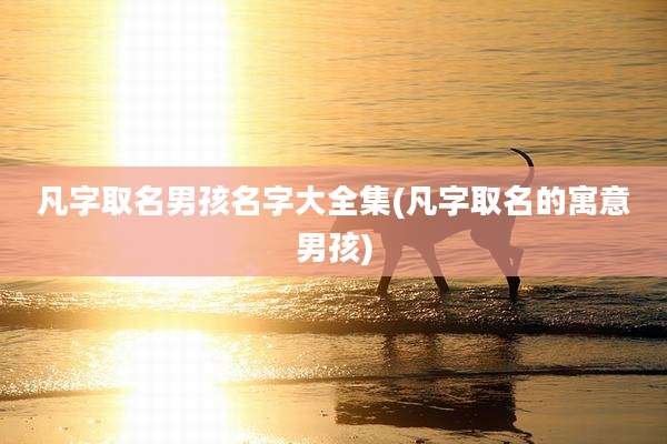 凡字取名男孩名字大全集(凡字取名的寓意男孩)
