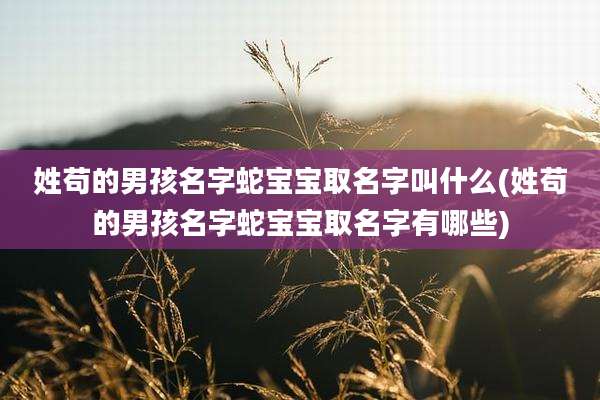 姓苟的男孩名字蛇宝宝取名字叫什么(姓苟的男孩名字蛇宝宝取名字有哪些)