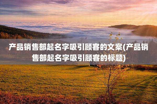 产品销售部起名字吸引顾客的文案(产品销售部起名字吸引顾客的标题)