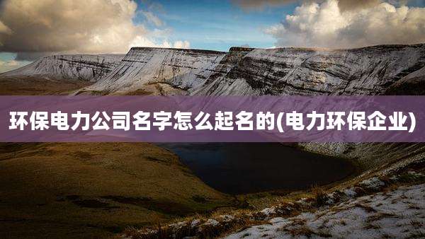 环保电力公司名字怎么起名的(电力环保企业)