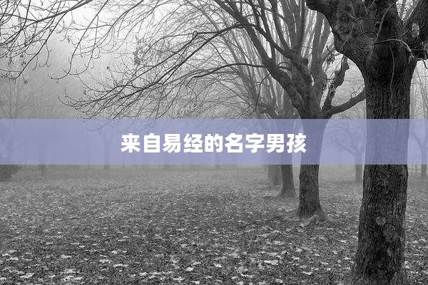 来自易经的名字男孩