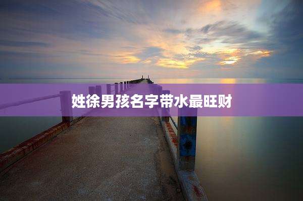 姓徐男孩名字带水最旺财