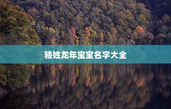 骆姓龙年宝宝名字大全
