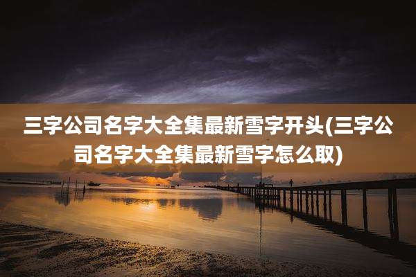 三字公司名字大全集最新雪字开头(三字公司名字大全集最新雪字怎么取)