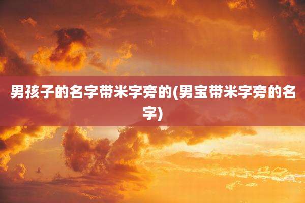 男孩子的名字带米字旁的(男宝带米字旁的名字)