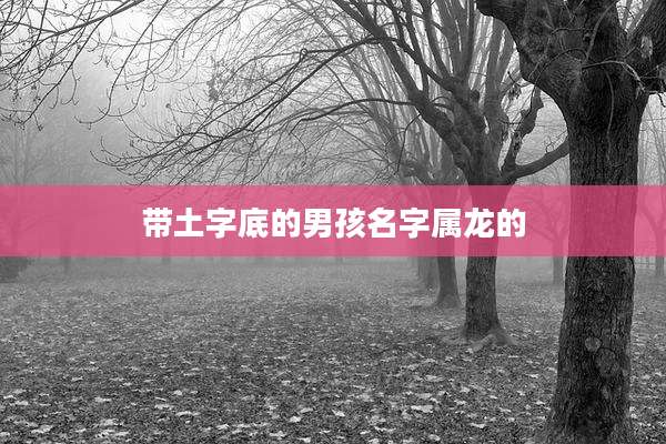 带土字底的男孩名字属龙的