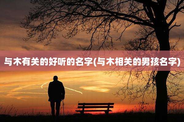 与木有关的好听的名字(与木相关的男孩名字)