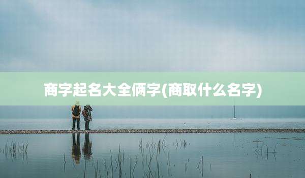商字起名大全俩字(商取什么名字)
