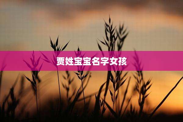 贾姓宝宝名字女孩