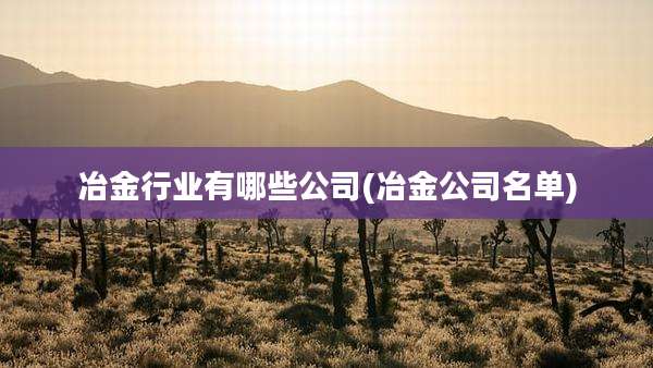 冶金行业有哪些公司(冶金公司名单)