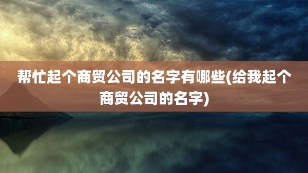 帮忙起个商贸公司的名字有哪些(给我起个商贸公司的名字)