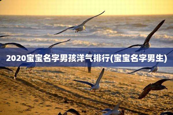 2020宝宝名字男孩洋气排行(宝宝名字男生)
