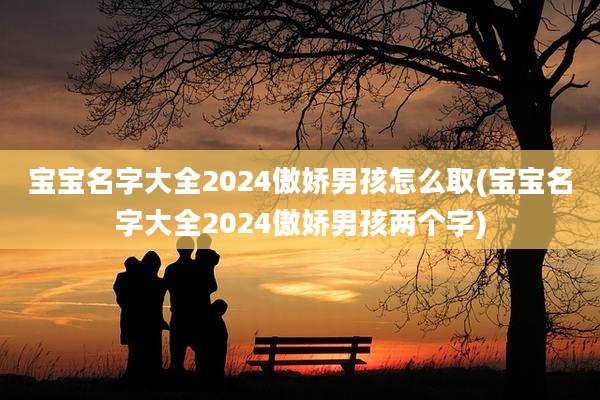 宝宝名字大全2024傲娇男孩怎么取(宝宝名字大全2024傲娇男孩两个字)