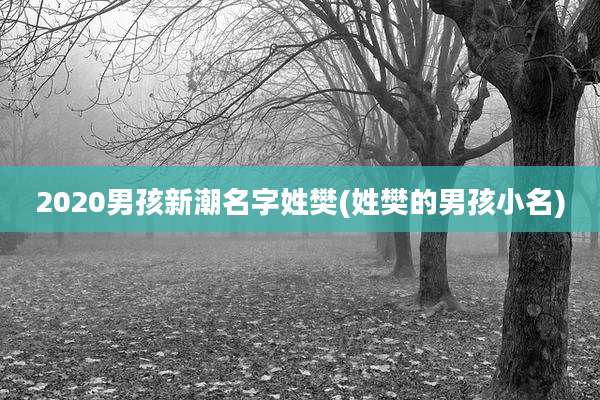 2020男孩新潮名字姓樊(姓樊的男孩小名)