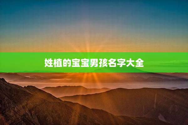 姓植的宝宝男孩名字大全