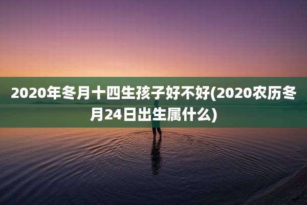 2020年冬月十四生孩子好不好(2020农历冬月24日出生属什么)