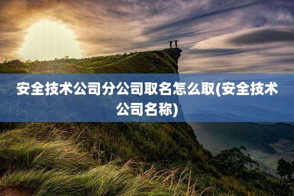 安全技术公司分公司取名怎么取(安全技术公司名称)