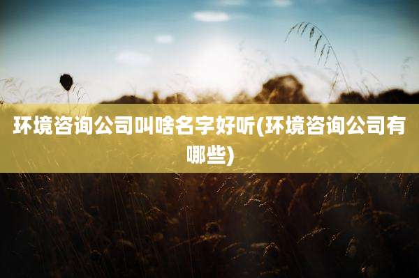 环境咨询公司叫啥名字好听(环境咨询公司有哪些)