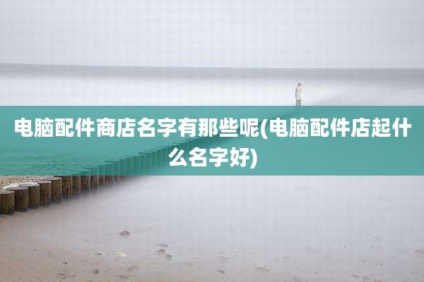 电脑配件商店名字有那些呢(电脑配件店起什么名字好)