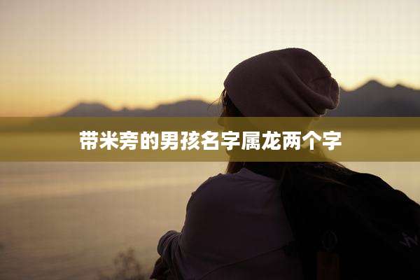 带米旁的男孩名字属龙两个字