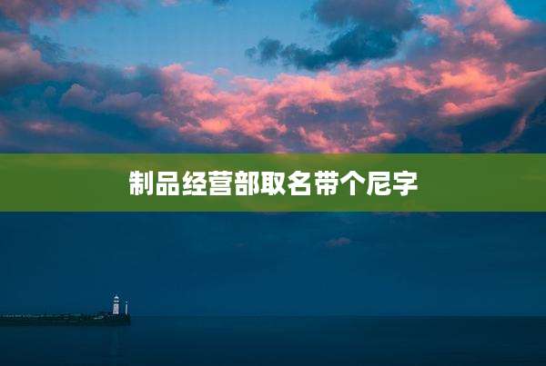 制品经营部取名带个尼字