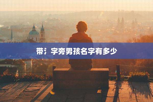 带氵字旁男孩名字有多少