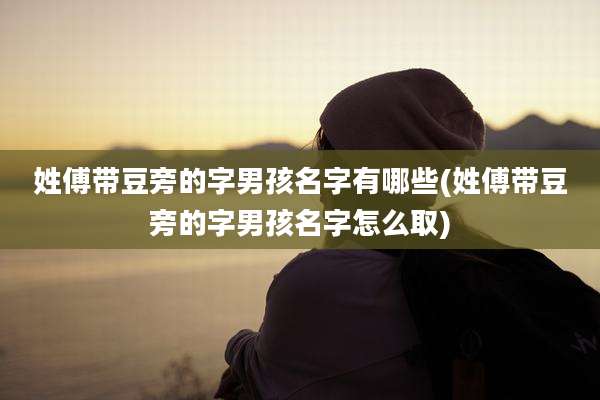 姓傅带豆旁的字男孩名字有哪些(姓傅带豆旁的字男孩名字怎么取)