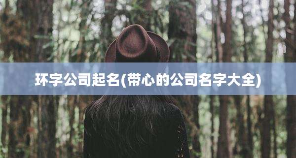 环字公司起名(带心的公司名字大全)