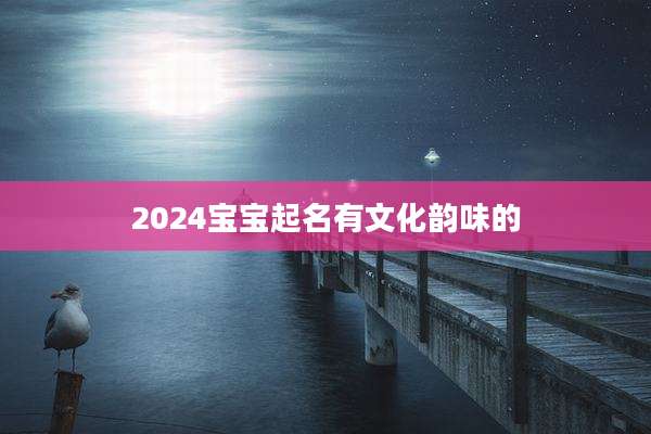 2024宝宝起名有文化韵味的