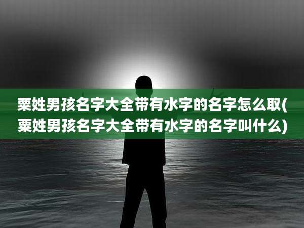 粟姓男孩名字大全带有水字的名字怎么取(粟姓男孩名字大全带有水字的名字叫什么)