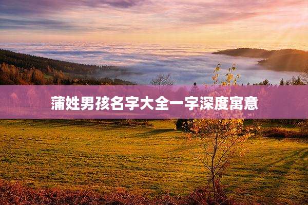 蒲姓男孩名字大全一字深度寓意