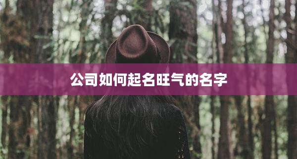 公司如何起名旺气的名字