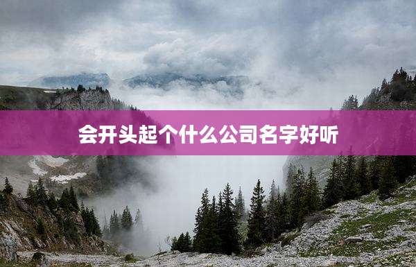 会开头起个什么公司名字好听