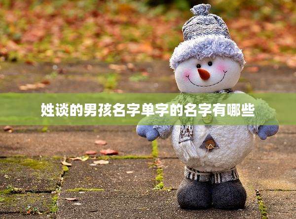 姓谈的男孩名字单字的名字有哪些
