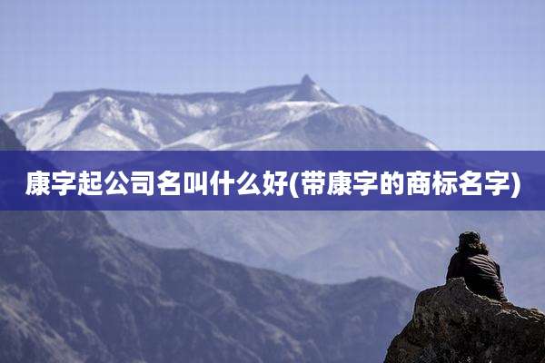 康字起公司名叫什么好(带康字的商标名字)
