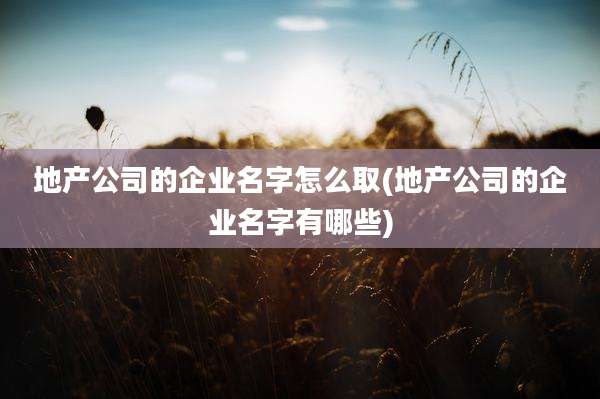 地产公司的企业名字怎么取(地产公司的企业名字有哪些)