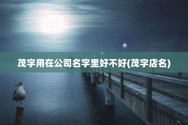 茂字用在公司名字里好不好(茂字店名)