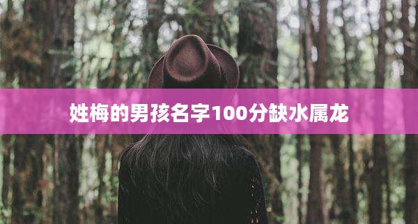 姓梅的男孩名字100分缺水属龙
